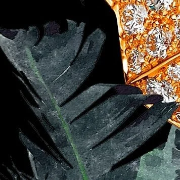 Something unique happens when Vast Aire teams up with producer Cosmiq, of The Quantum.

@slvdrdigital @vastaire @quantumfiles @iamcosmiq

#cosmiqproductions #canibalox #rapmusic #poetic #brooklyn #rapsheet #resist #cultura #headnod #groove #heavyment