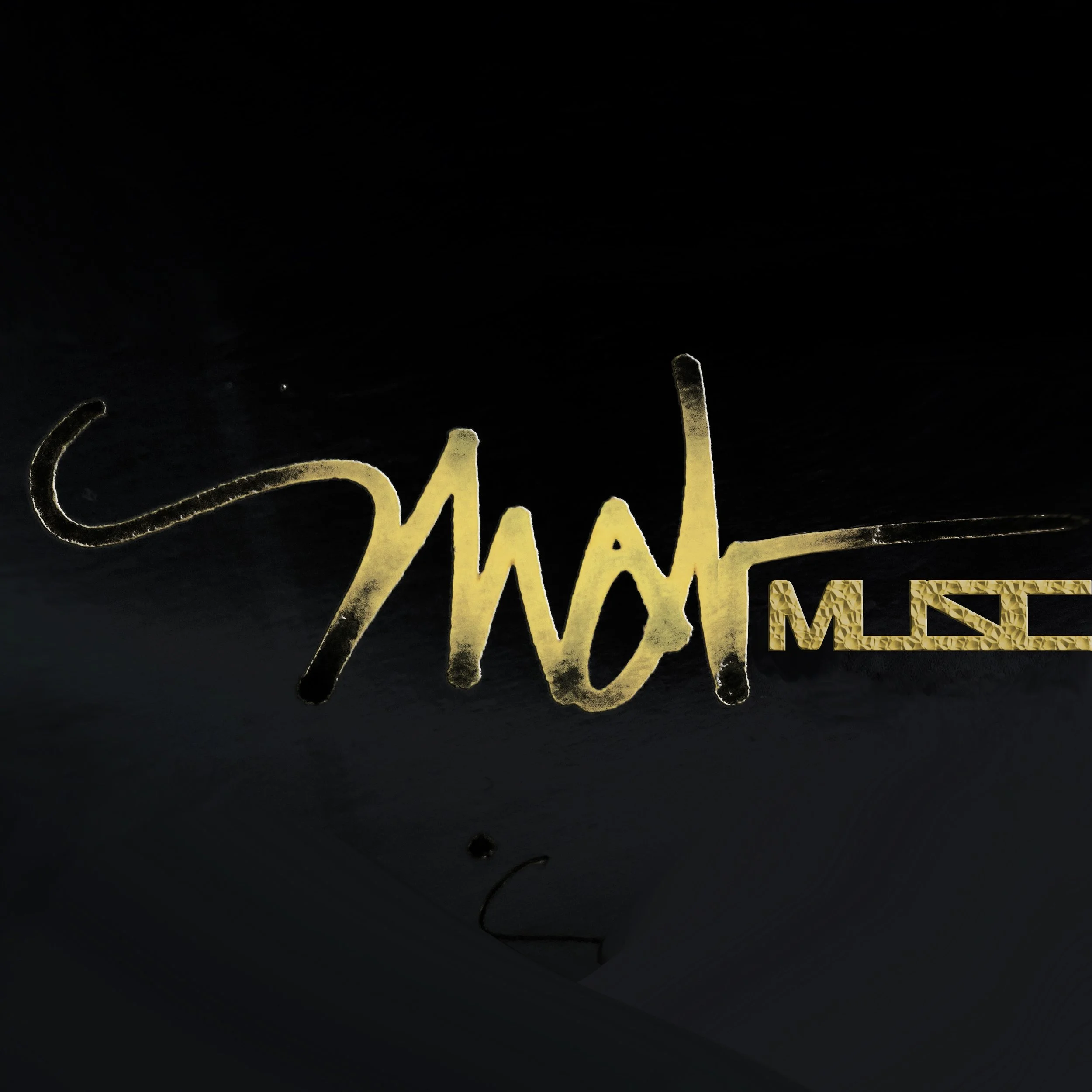 slvdr - handwritten LOGO 2.jpg