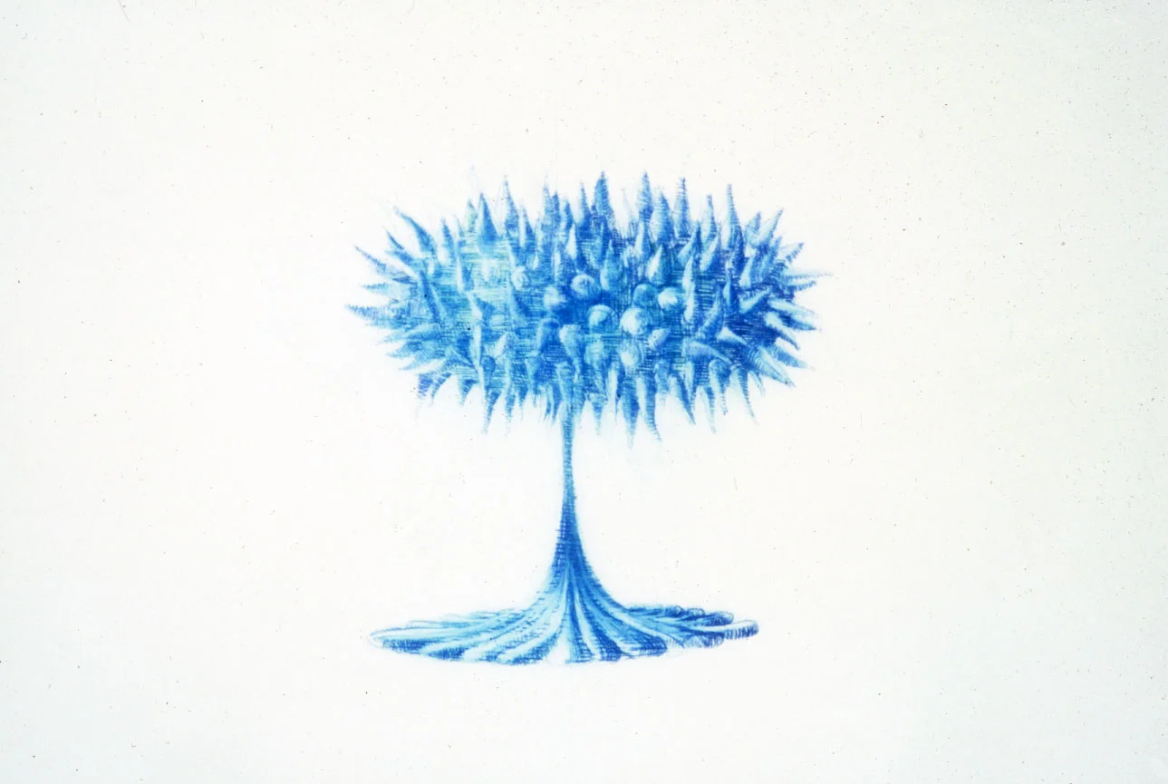 UNTITLED #340 , (date unknown) COLORED PENCIL ON PAPER, 23.75" x 35.75" (HAS977)