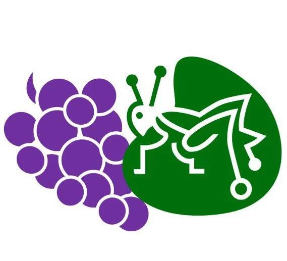 St. Urho's Day 2018!