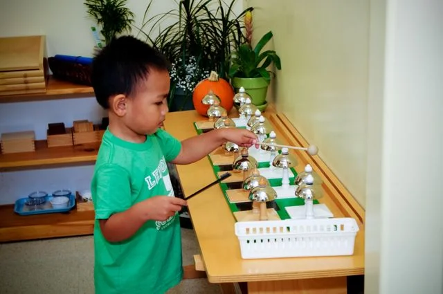 Special instruments, designed by Maria Montessori, such as the Montessori Bells encourage pitch training through auditory discrimination problem solving.