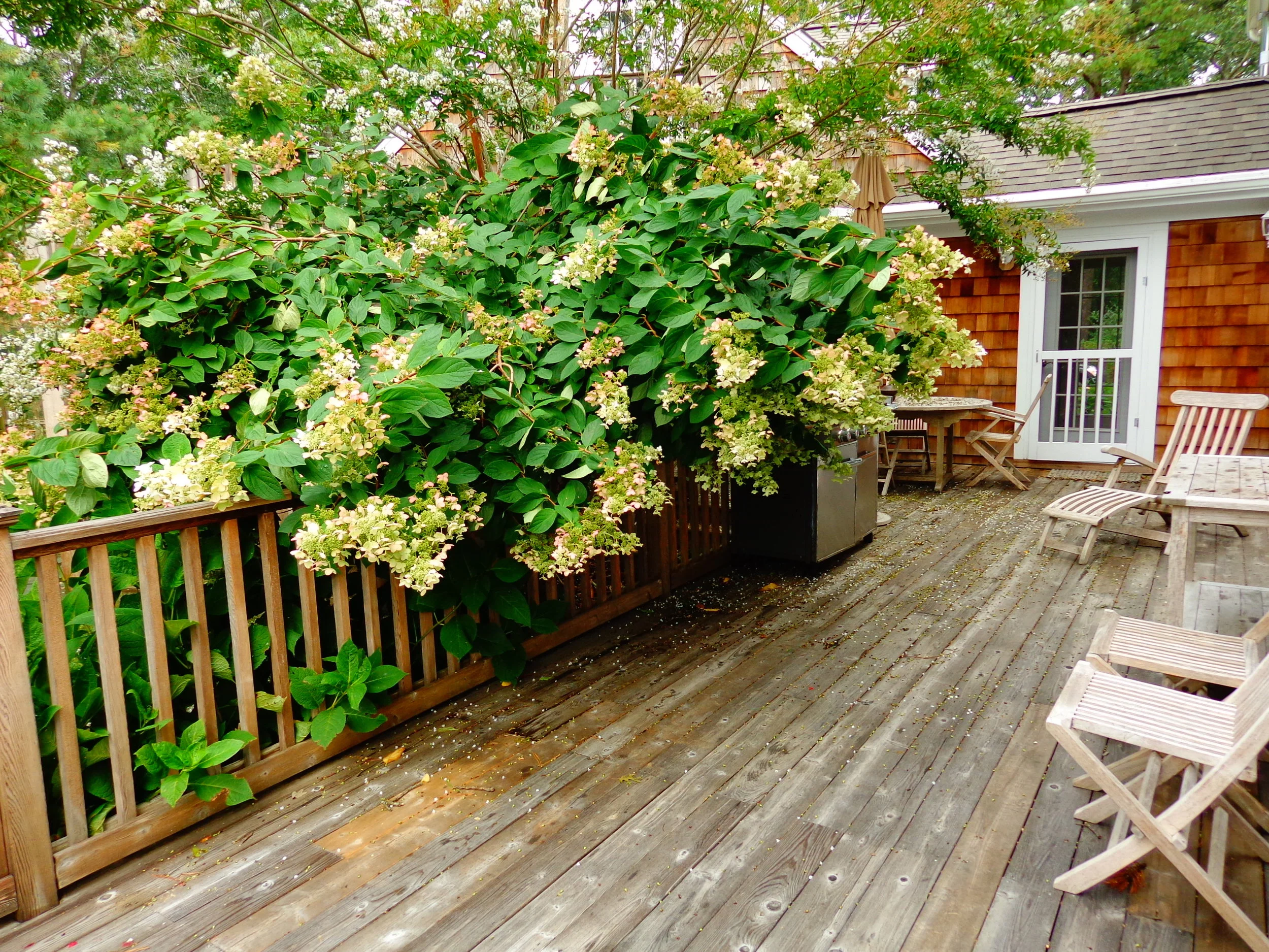Side Deck Just off the Kitchen