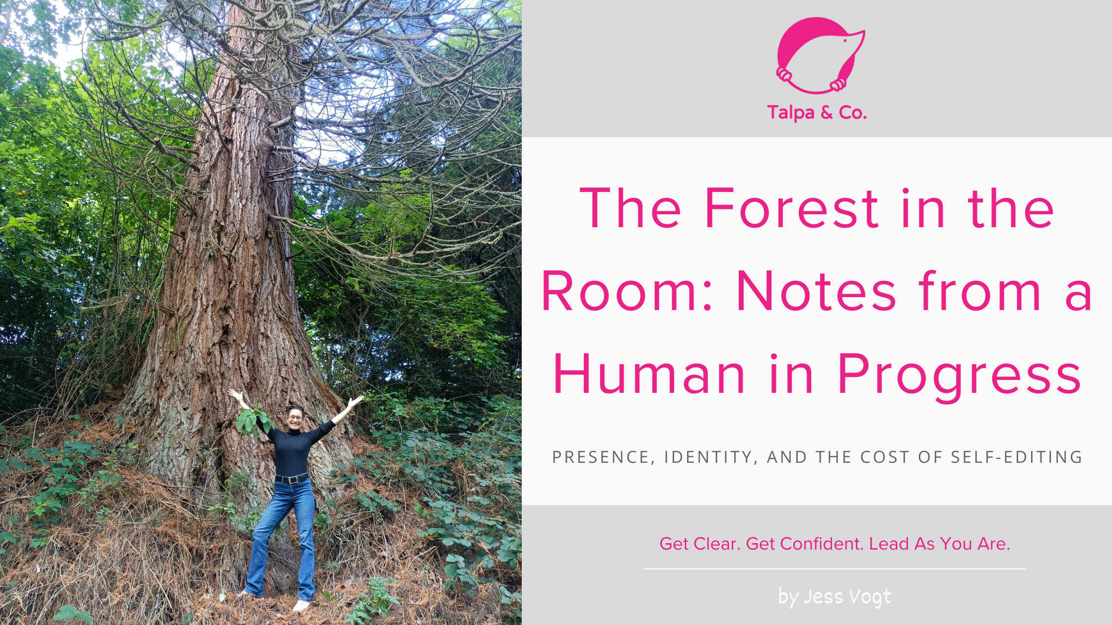The Forest in the Room: Notes from a Human in Progress