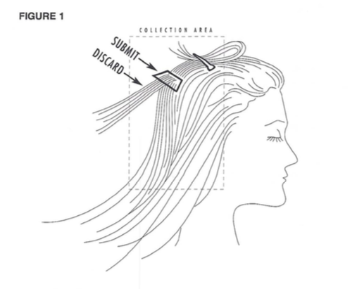 Graphic courtesy of Trace Elements, Inc. (2011). Hair Tissue Mineral Analysis: Balancing Body Chemistry.