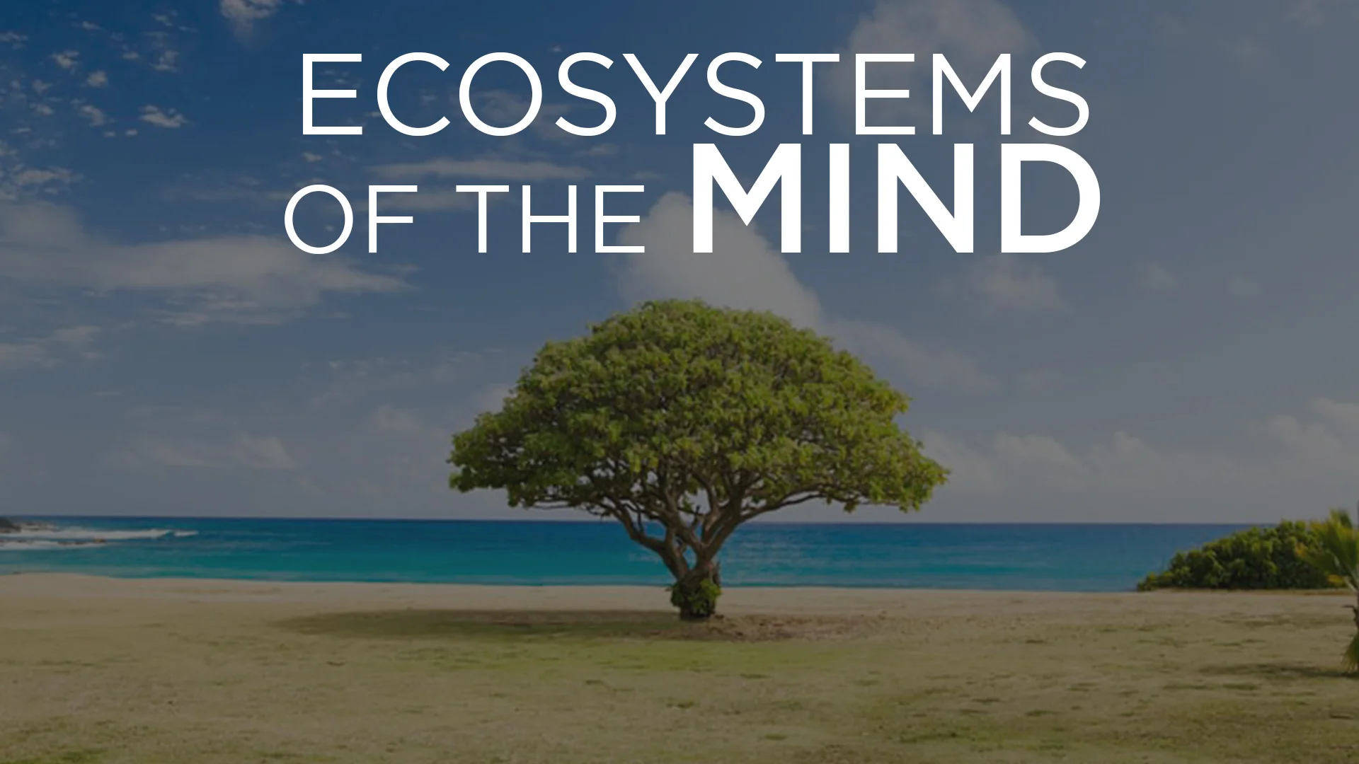 EcosystemsOfTheMind.jpg