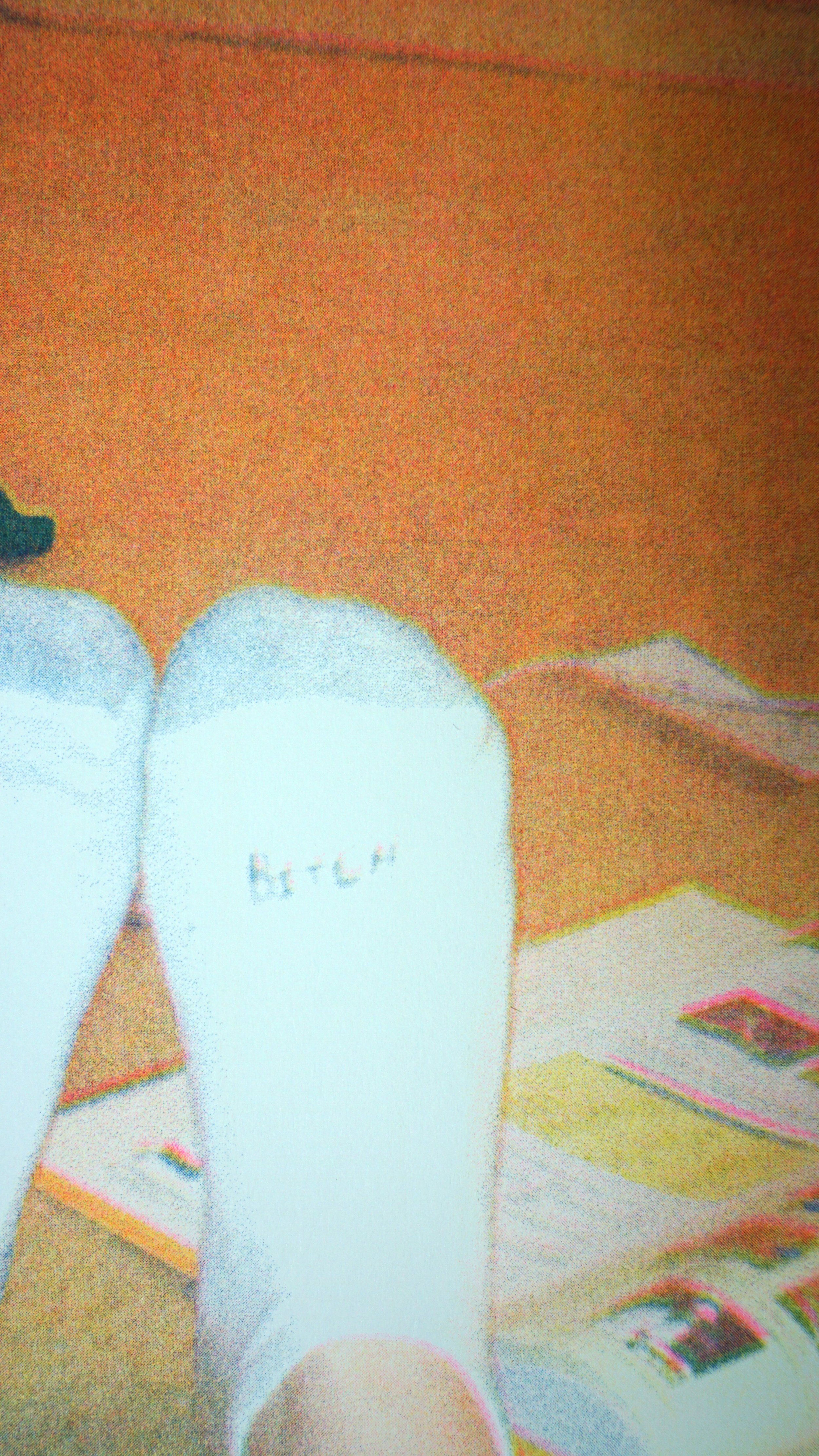 4.detail (bitch sock).jpg