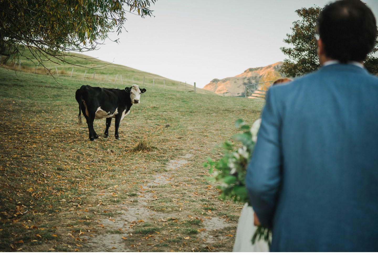 Kaituna Valley Wedding Photographer 036.jpg