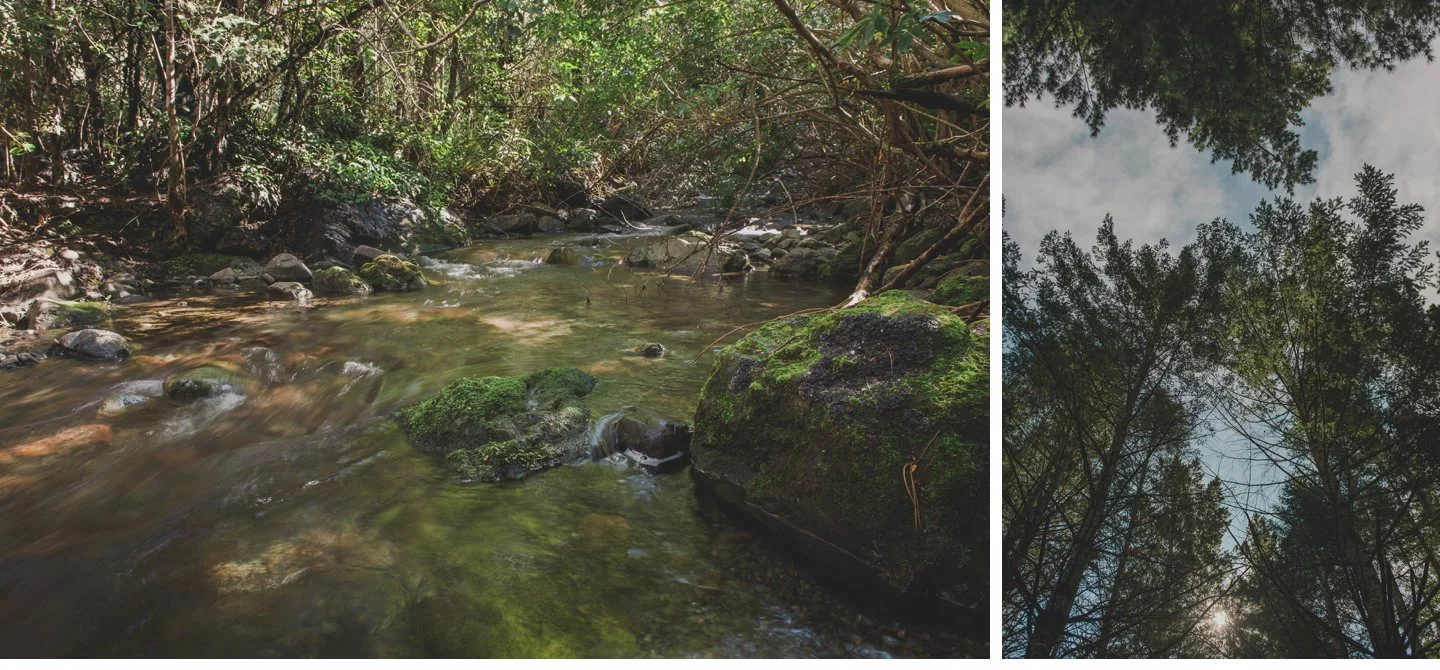 Canterbury Elopement Photographer 001.jpg
