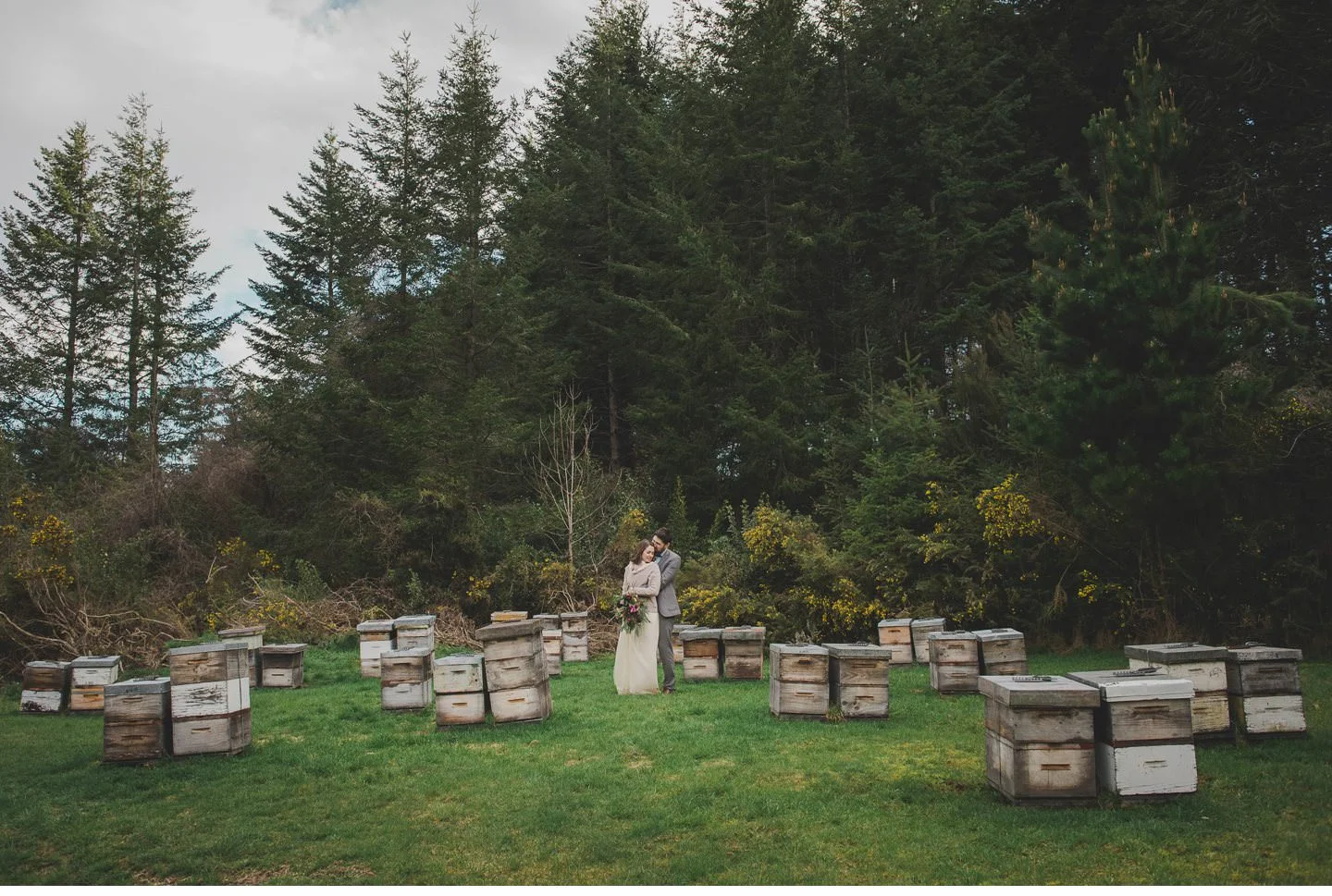 Lauren + Trent / Mt Thomas Elopement