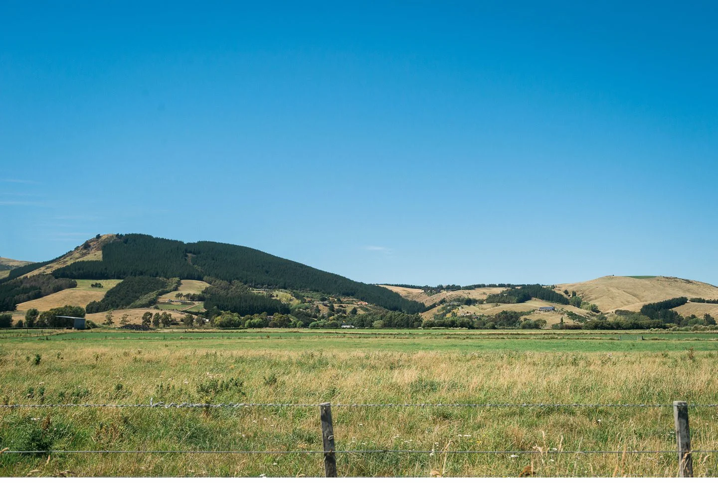 001 - Cossars Wineshed Wedding Photographer.jpg
