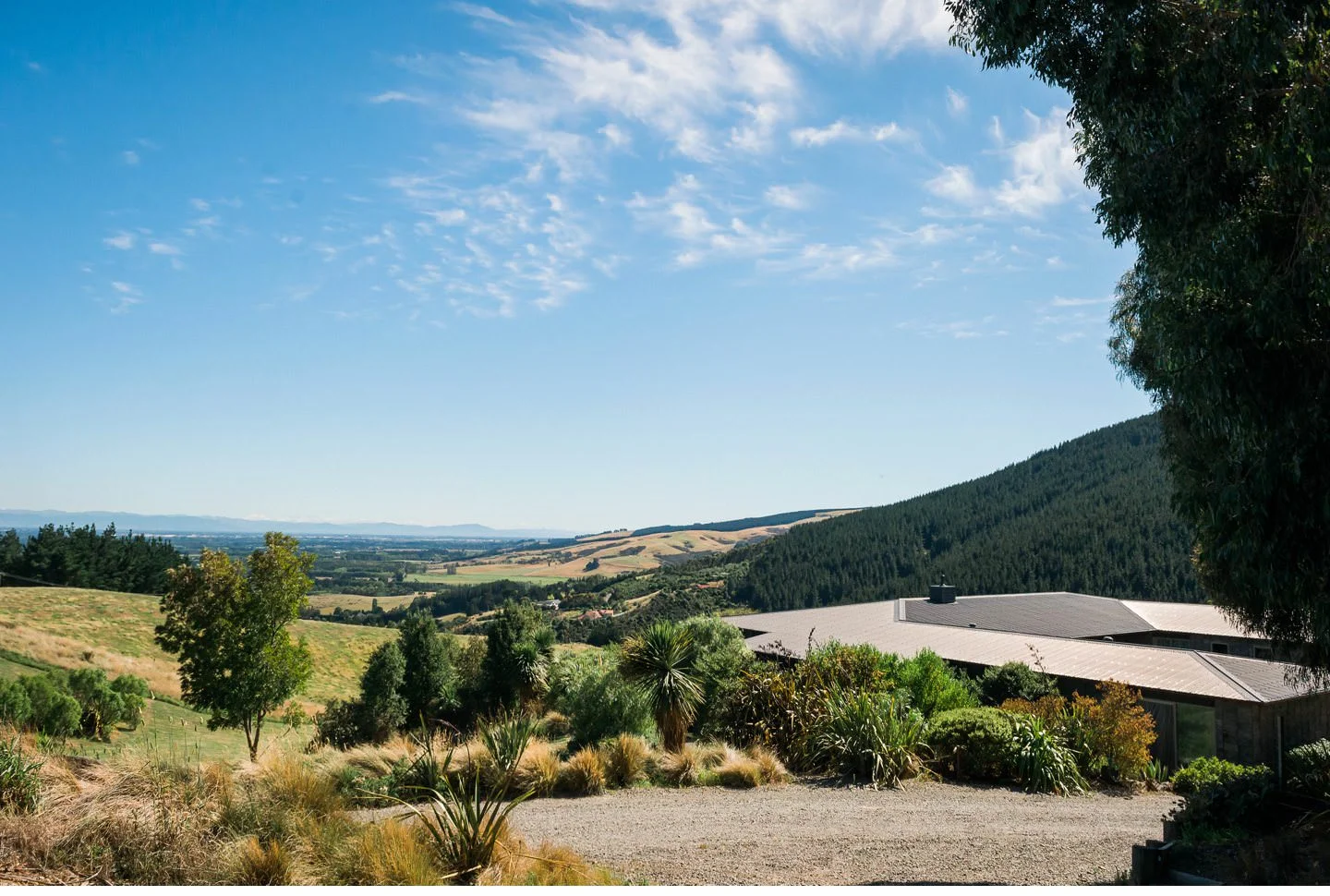 010 - Cossars Wineshed Wedding Photographer.jpg