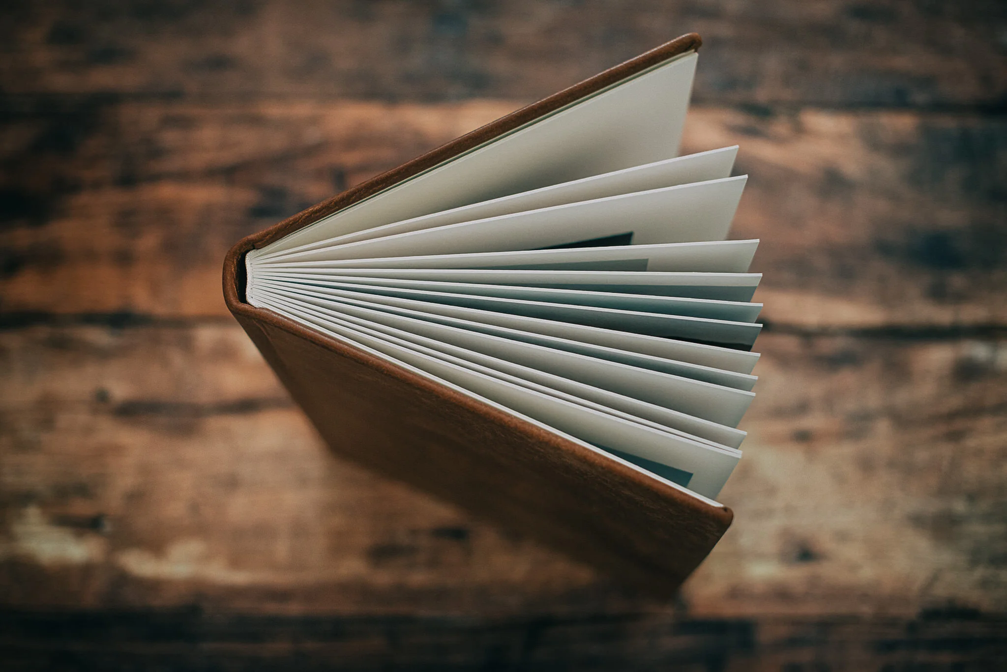 016 - Fine Art Album.jpg