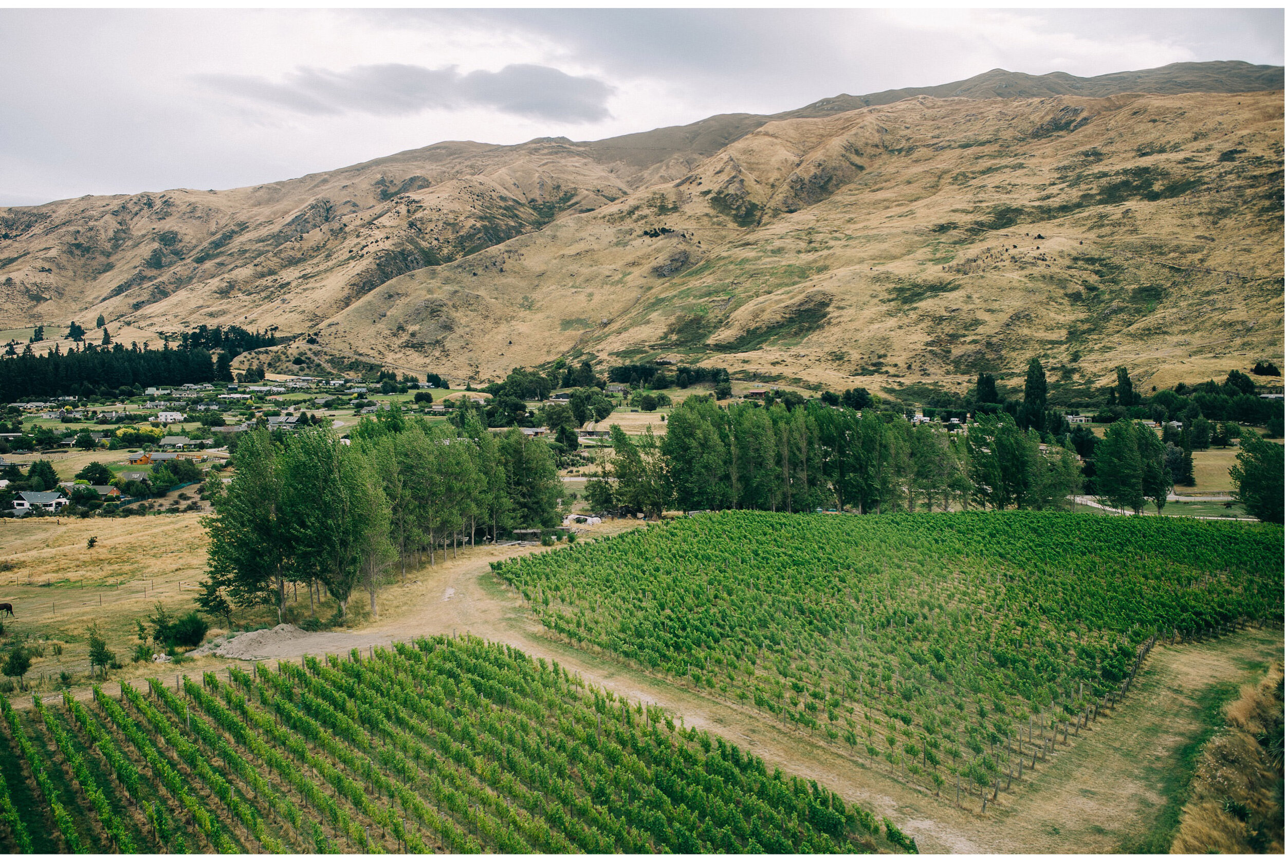 Rippon Winery Hindu Wedding Photographer-081.jpg