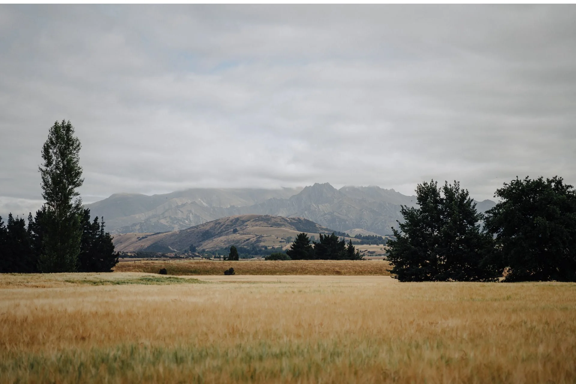 001 - Dublin-Bay-Wanaka-Hybrid-Wedding-Photo-Video.jpg