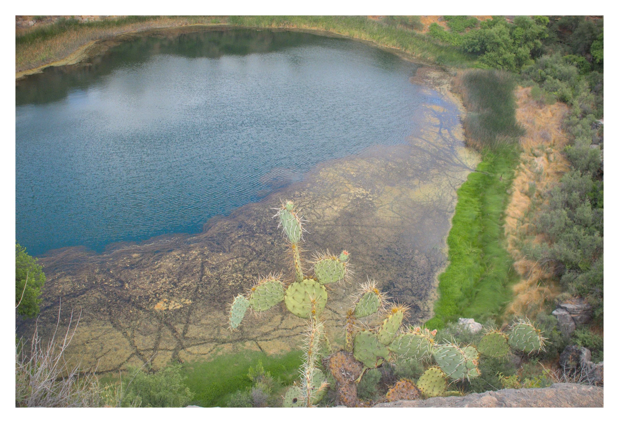 DSCF5635.jpg