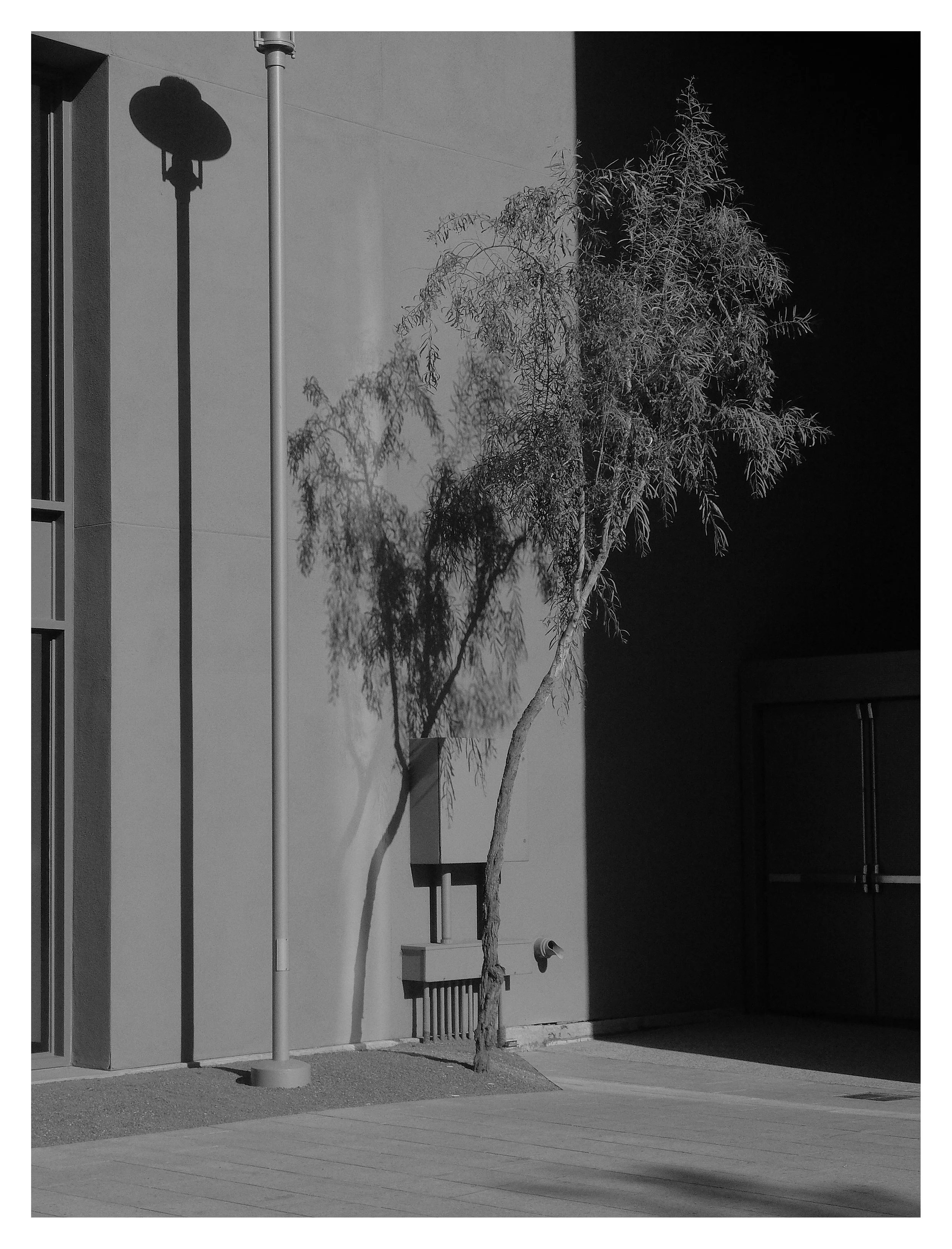 DSCF5788.jpg