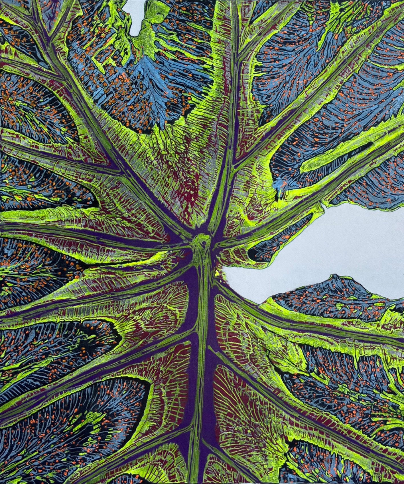 Elephant Ear 48, Emily Clare.jpg