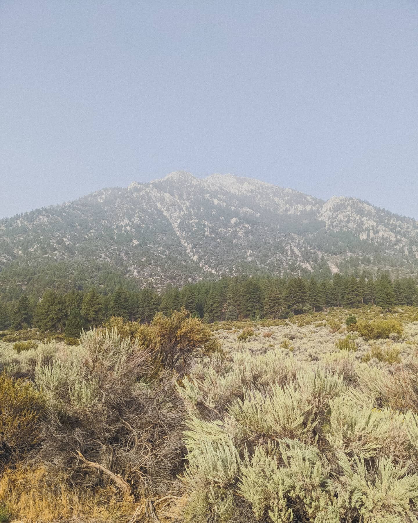 Smokey Sierra Mountains. I could start to see the smokey haze starting in Central Arizona on my drive from Dallas to Nevada. But damn, how I've missed these mountains.