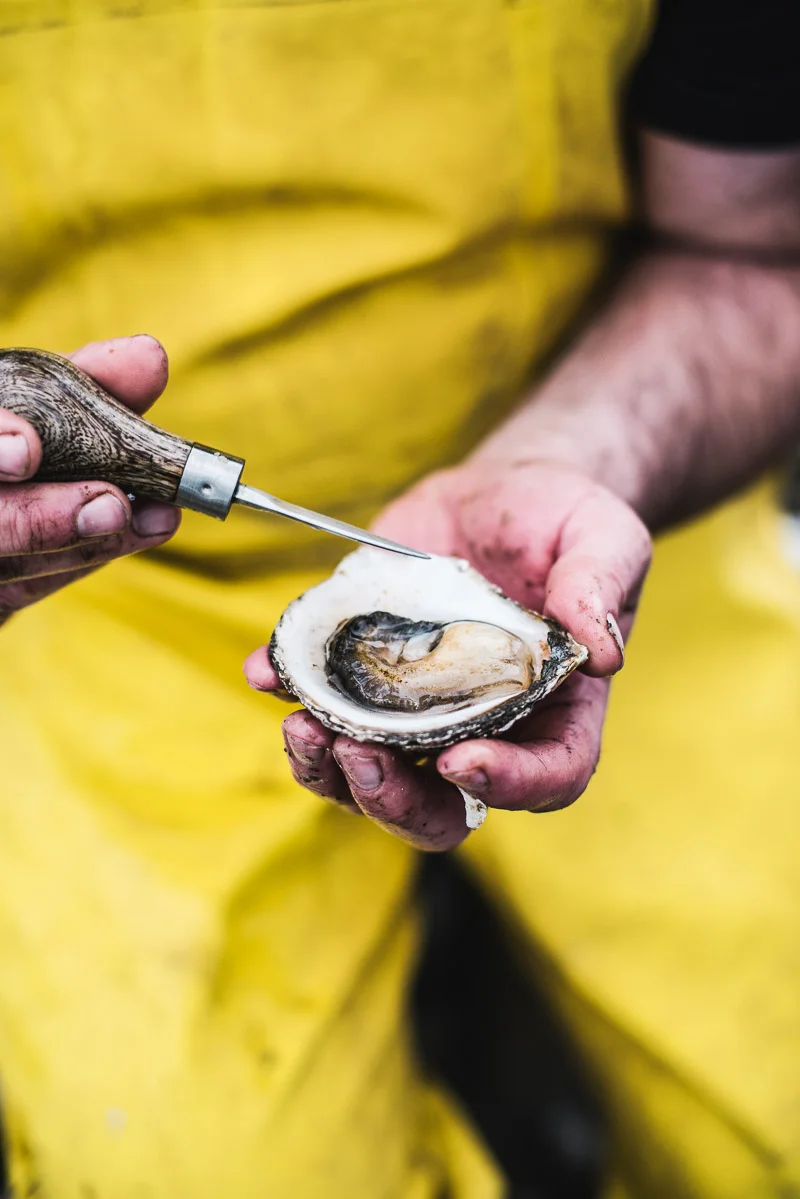 alanadimou-ewanmcashoysters-10.jpg