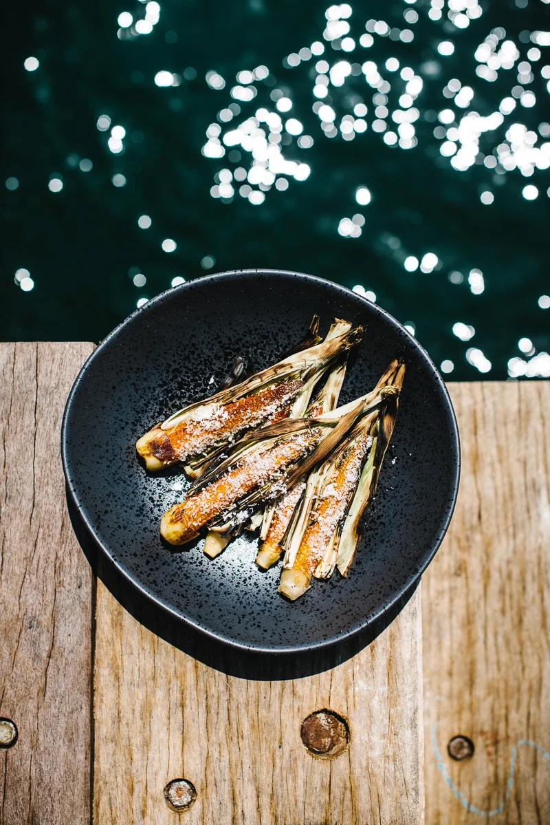 alanadimou-flyingfish-01.jpg