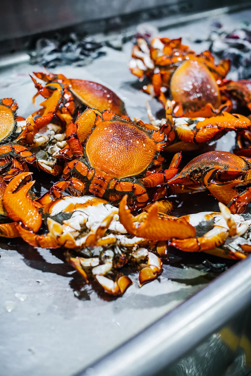 alanadimou-fishmarketcrab.jpg