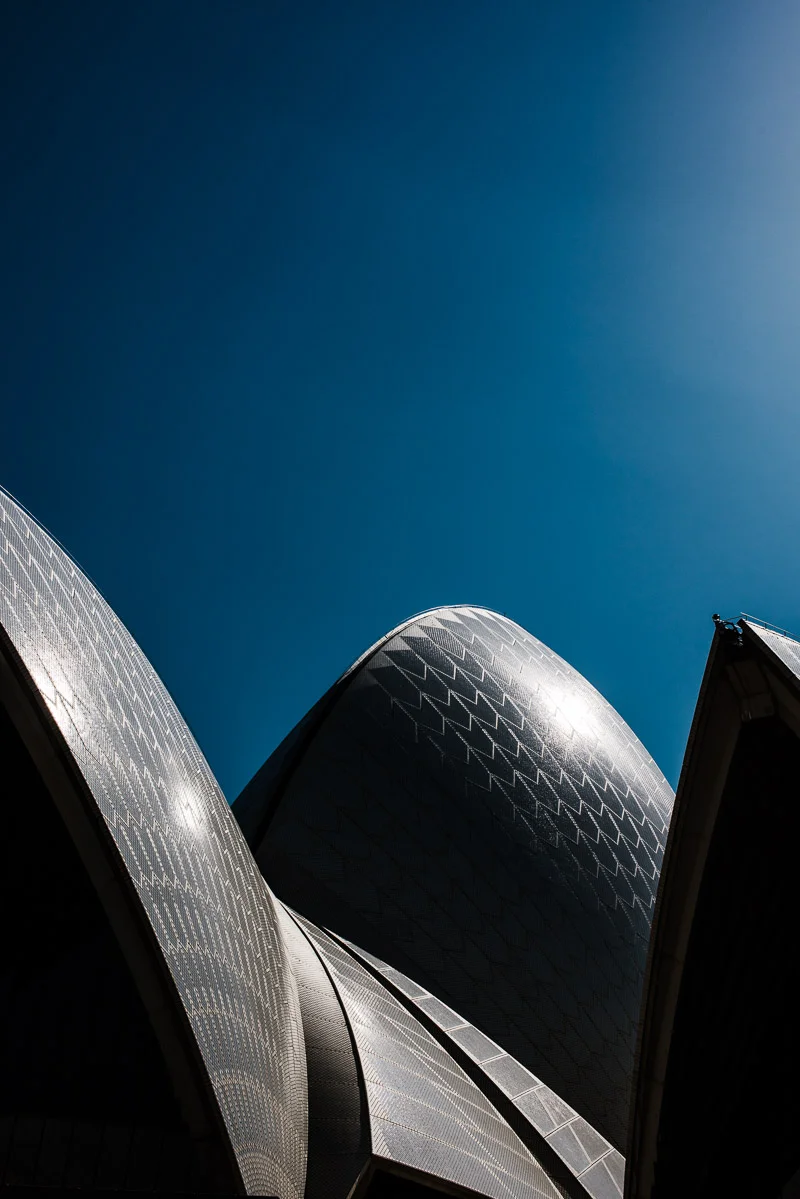 alanadimou-sydneycn-01.jpg