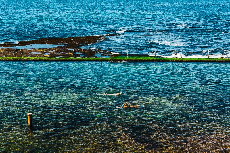 alanadimou-coogeebbc-09.jpg