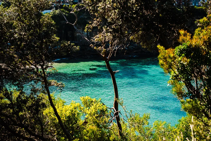 alanadimou-coogeebbc-31.jpg