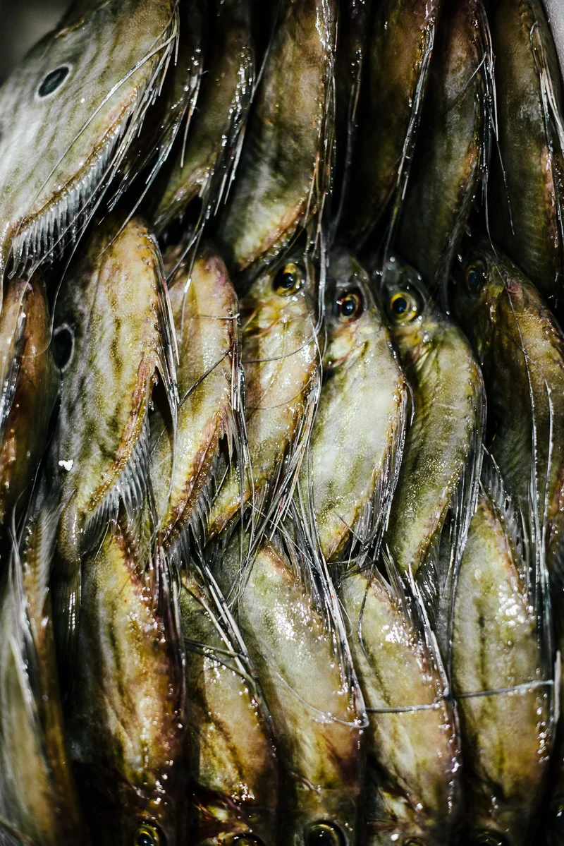 alanadimou-manettasseafoodmarket-10.jpg