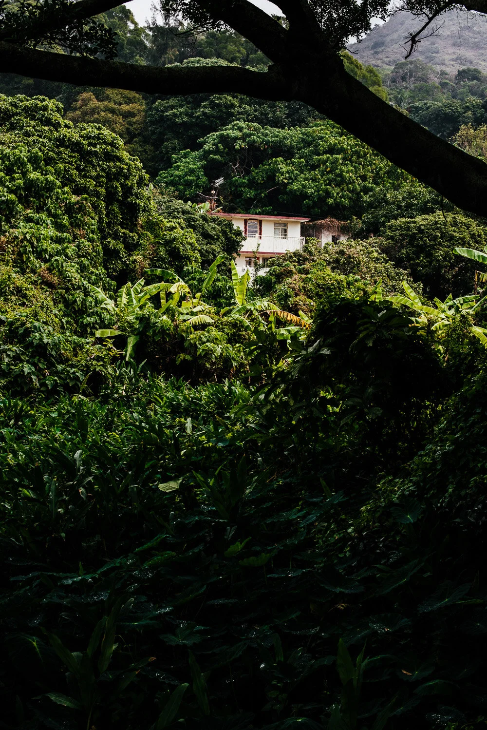 alanadimou-hongkong-52.jpg