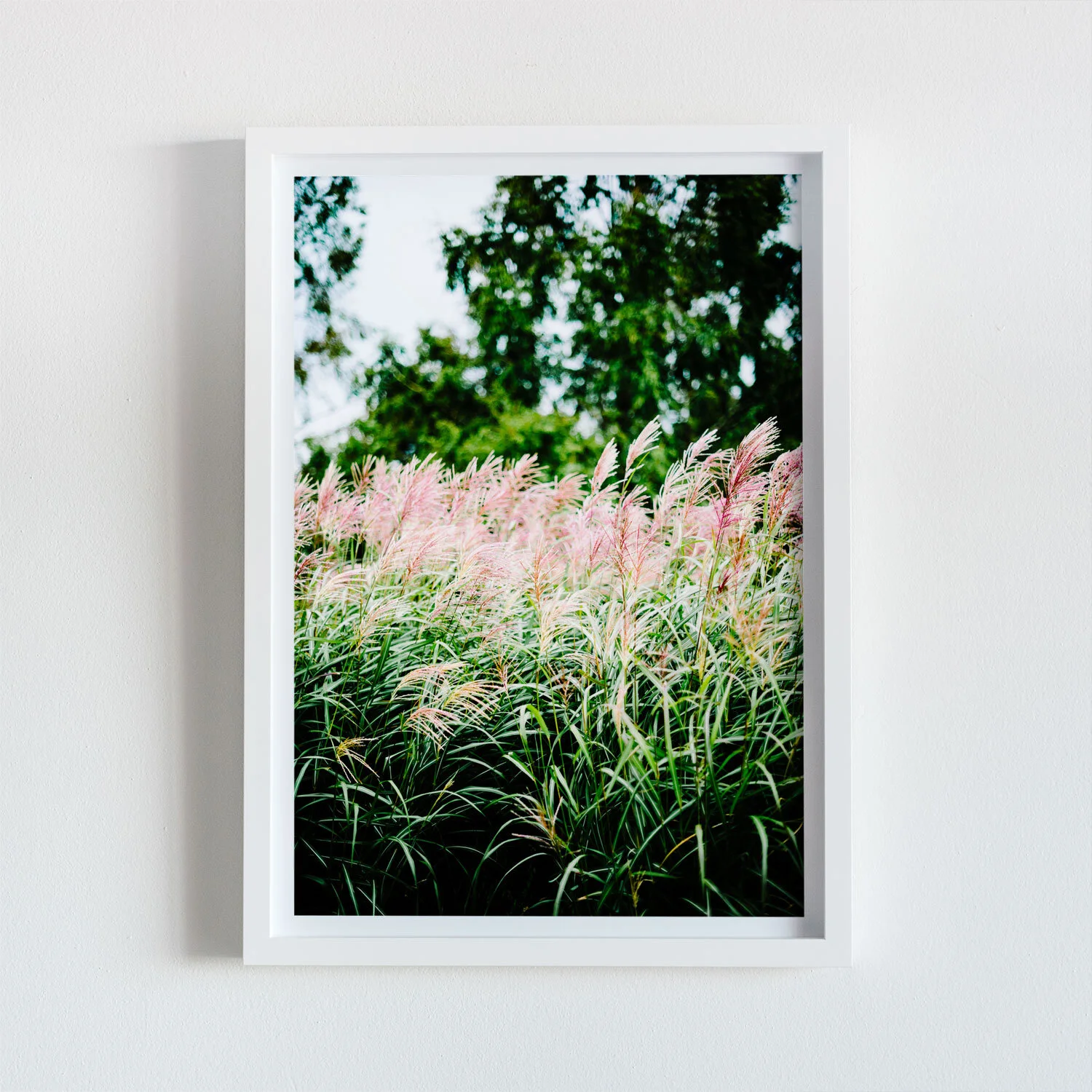 alanadimou-humlebaek-frame.jpg