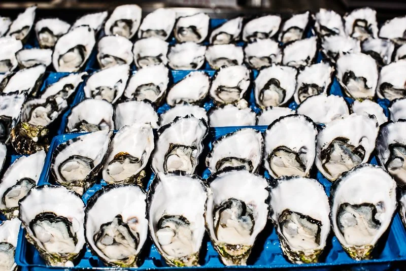 alanadimou-sydneyfishmarket-51.jpg