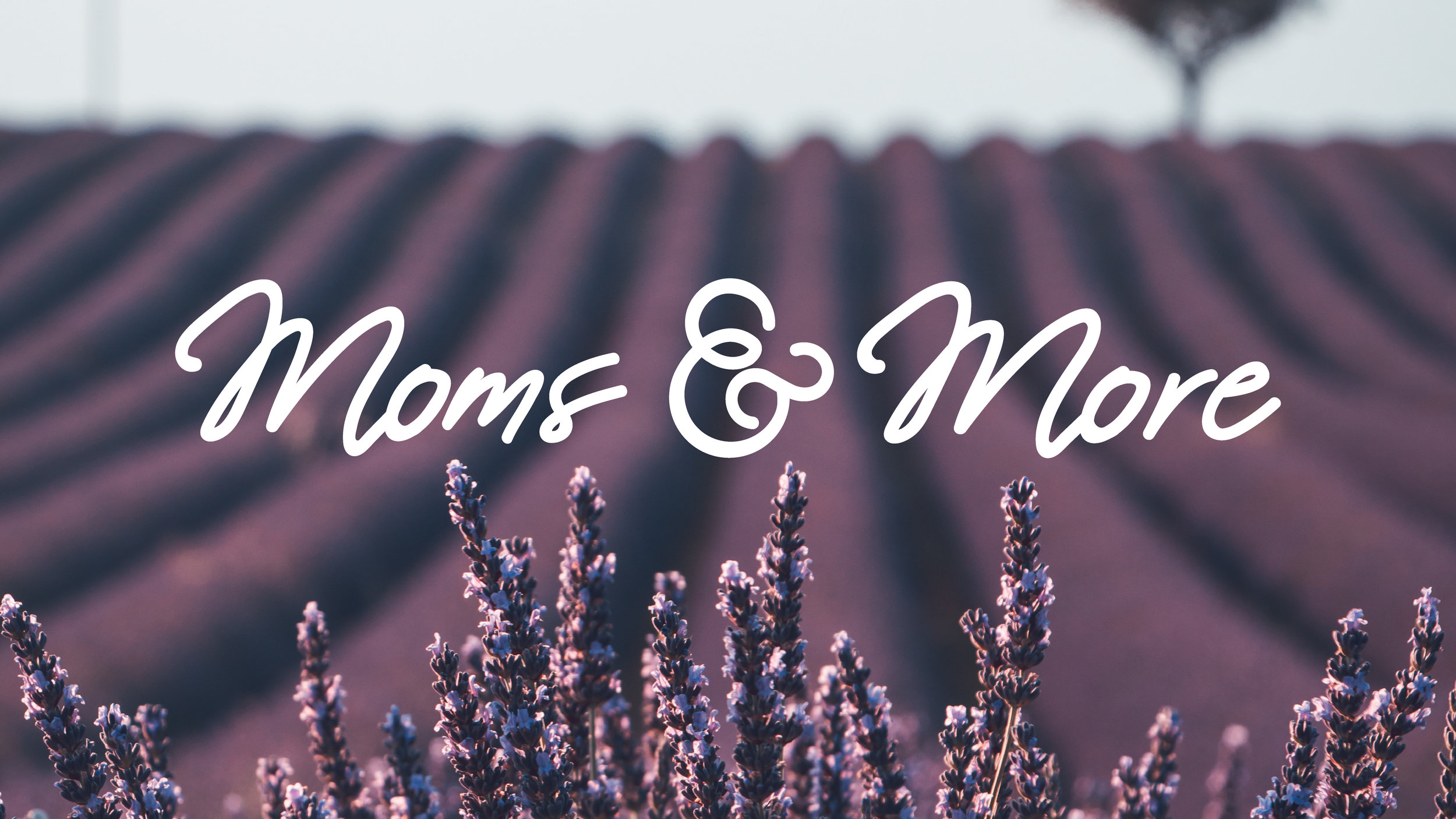 MomsandMore_FB-01.jpg