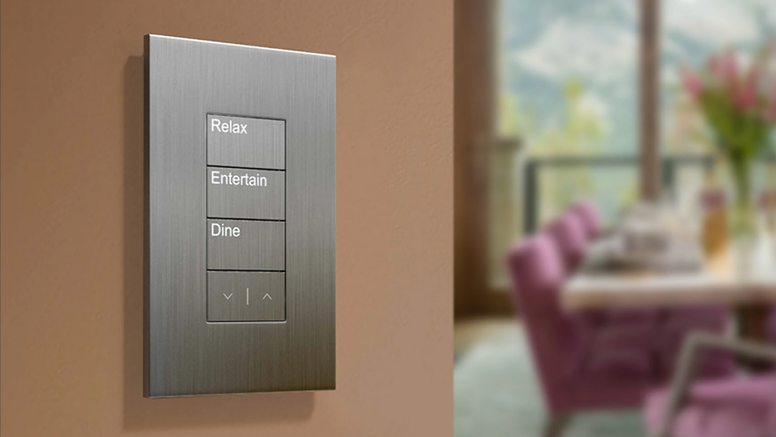 Lutron - Palladiom Single Silver.png