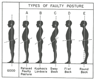 Correct Posture.png