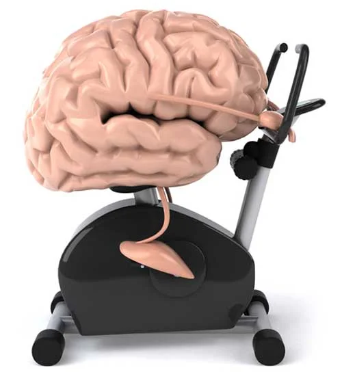 Brain on Exercise Bike.jpg