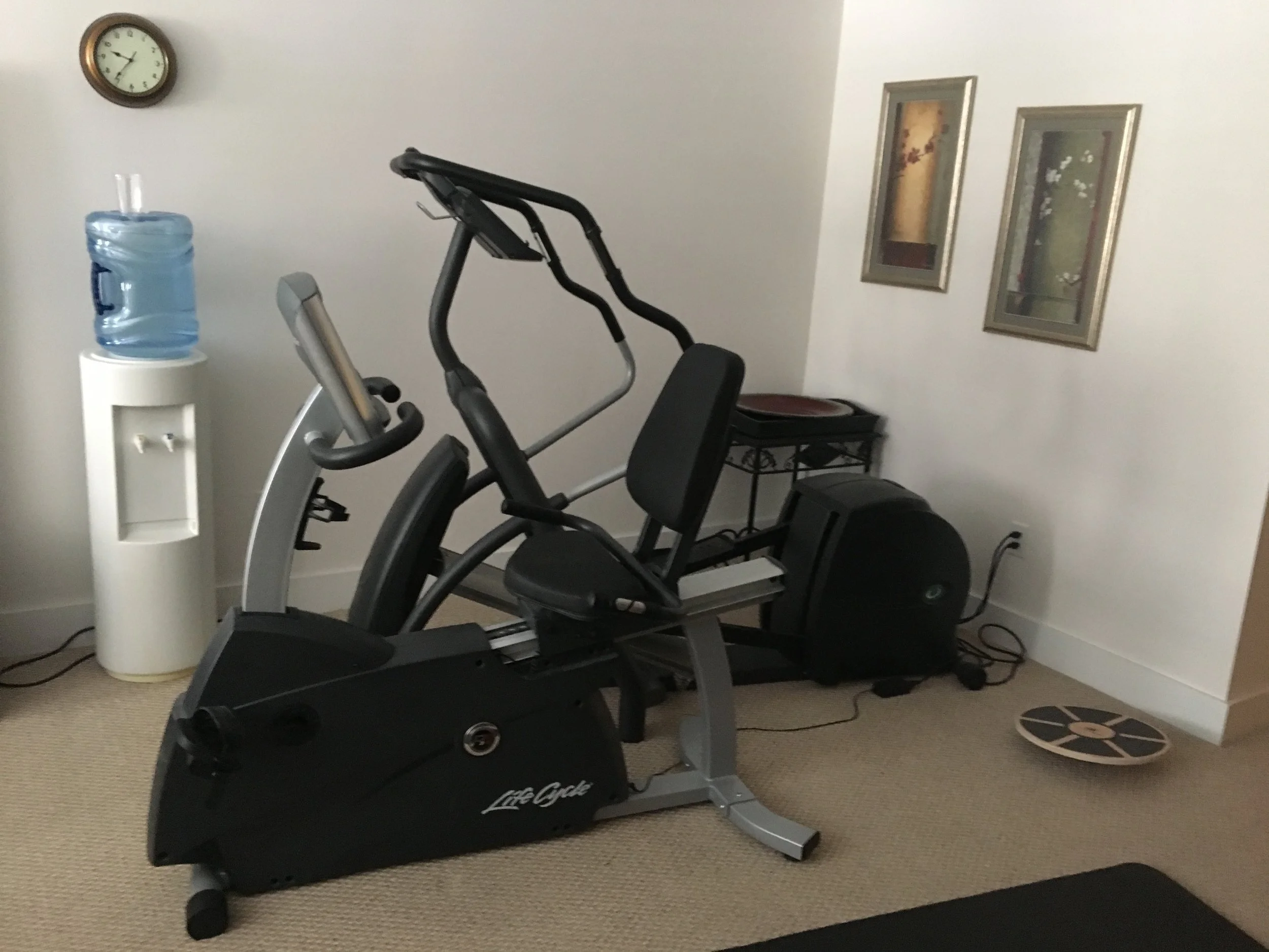 Client In-Home Gym