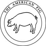american pig.jpg