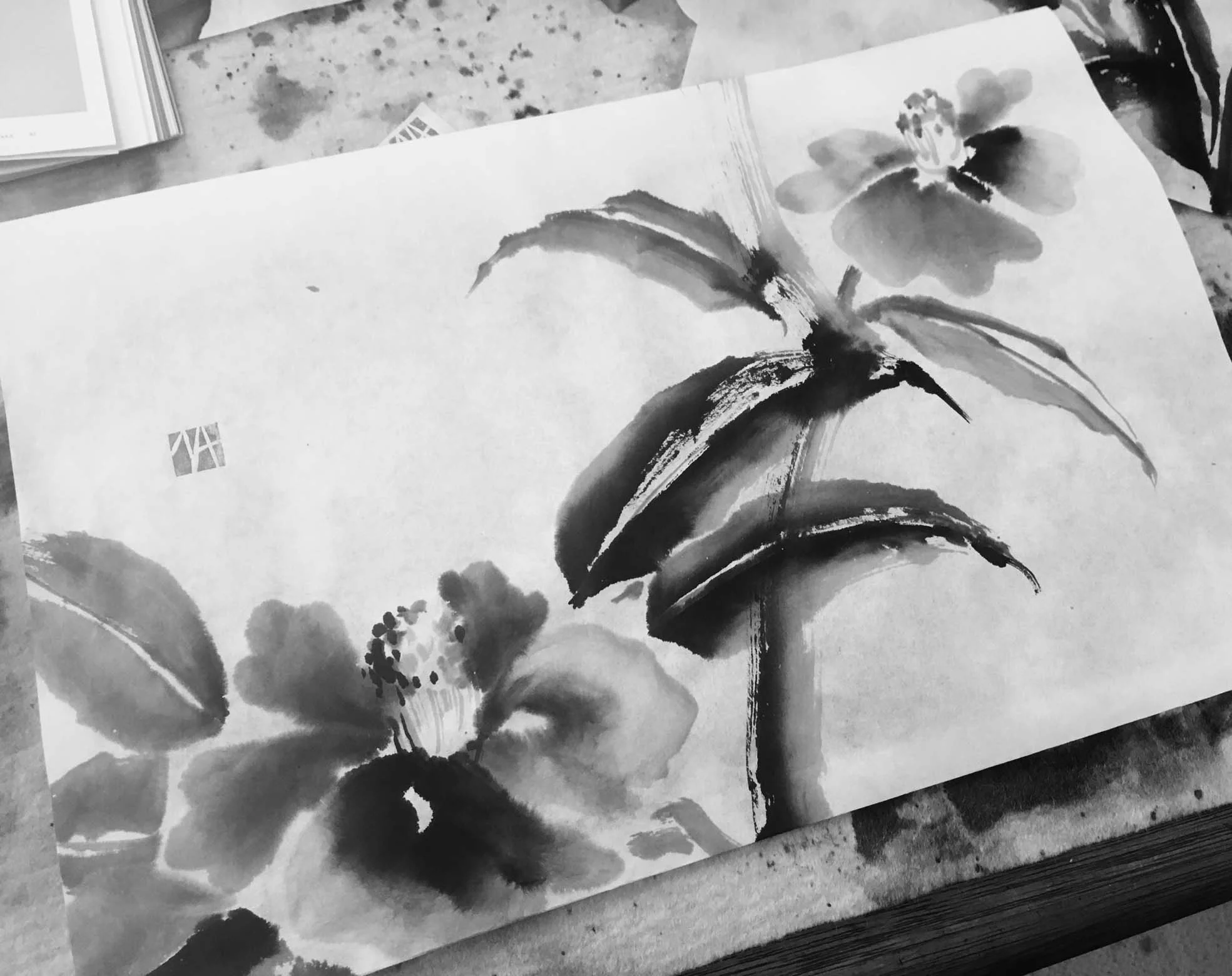 FullSizeRender 7.jpg