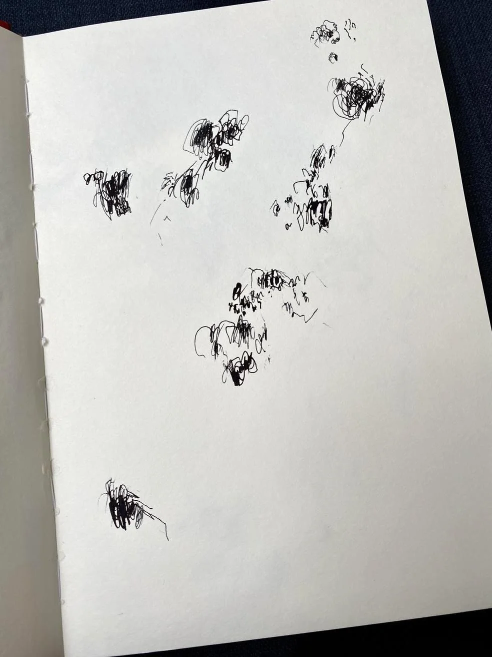 2021-01-06 12.40.27-1.jpg