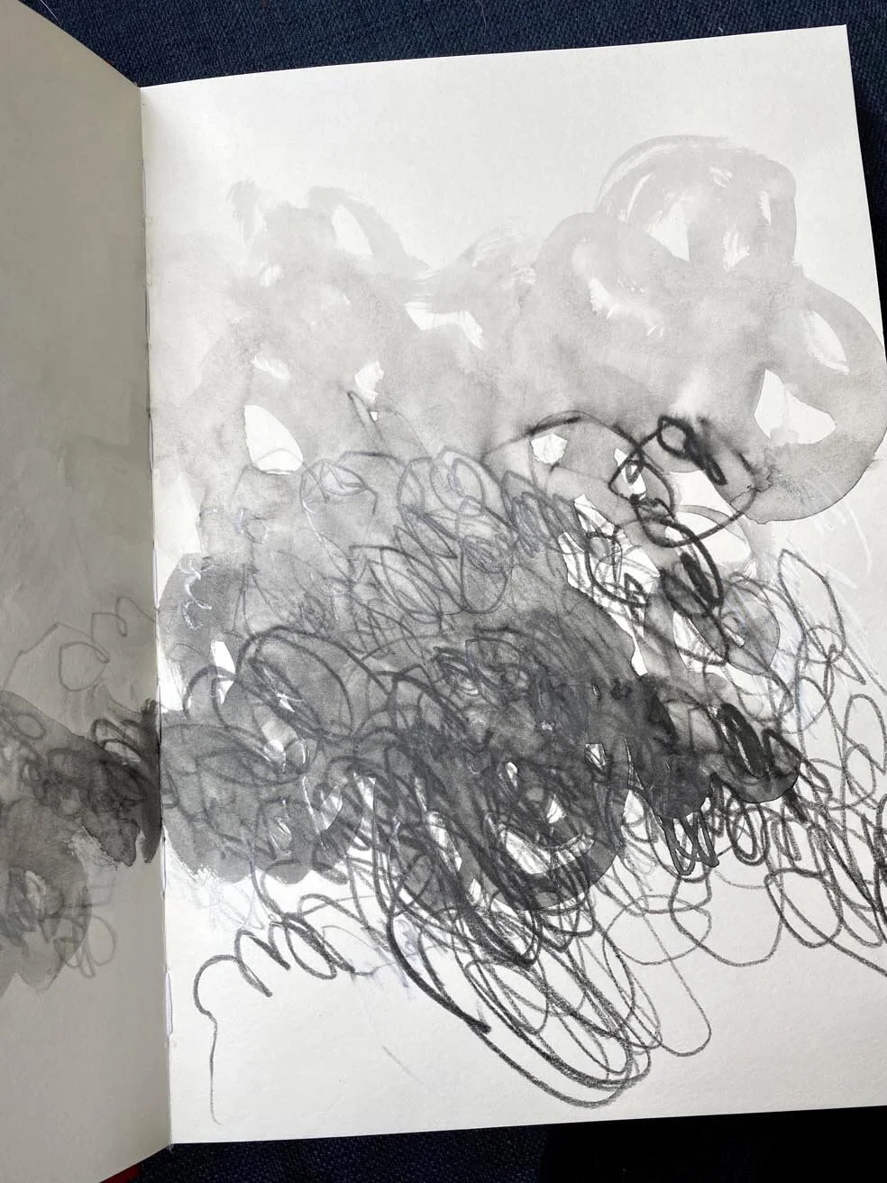 2021-01-06 12.41.30-1.jpg