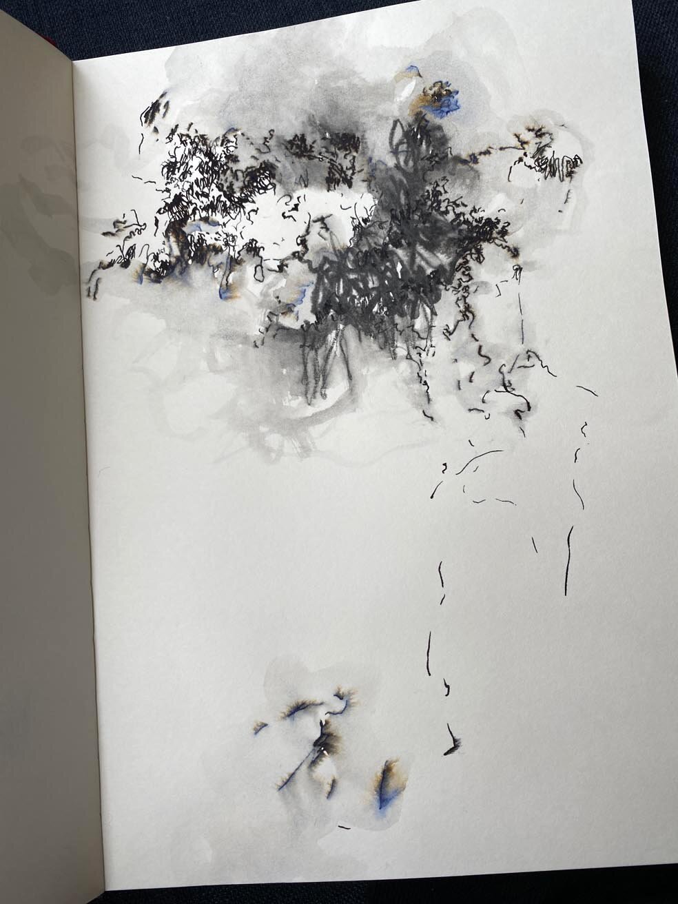 2021-01-06 12.43.10.jpg