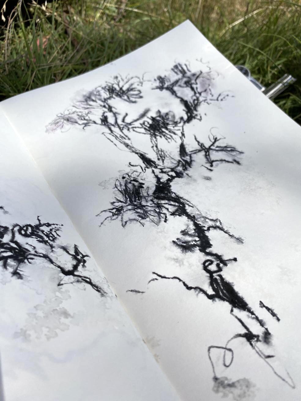 2021-02-22 14.31.15.jpg