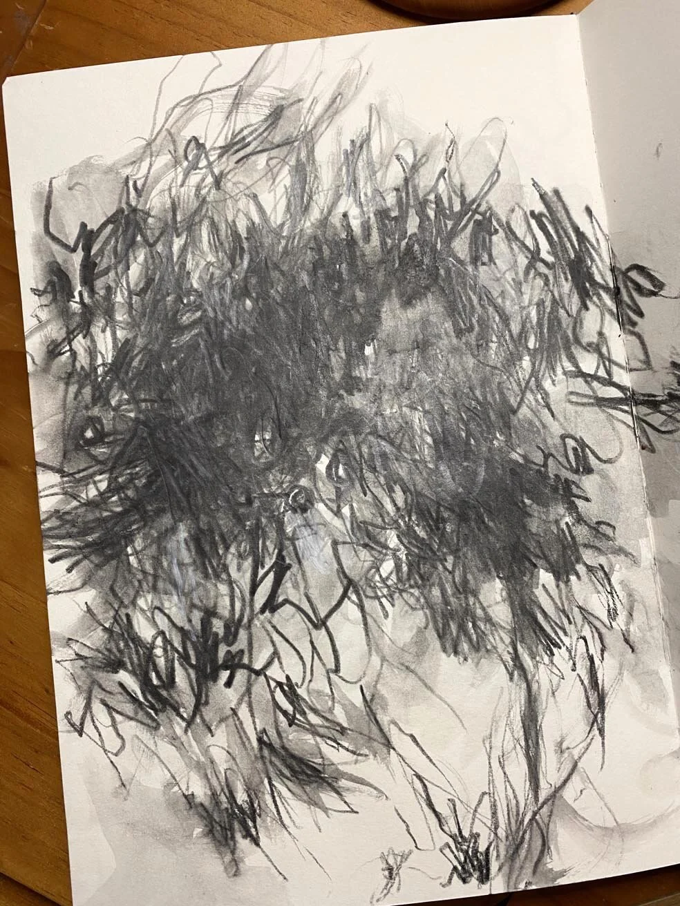 2021-04-10 22.07.17.jpg