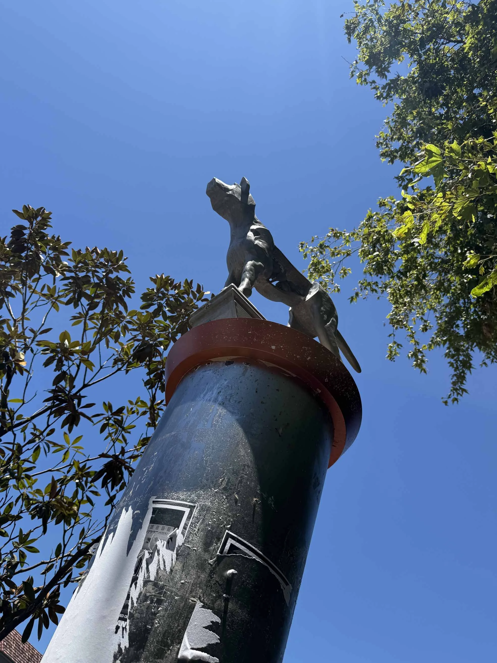  One of three Guardian Dogs, public sculptures that reflect the area’s pro-dog mindset.  