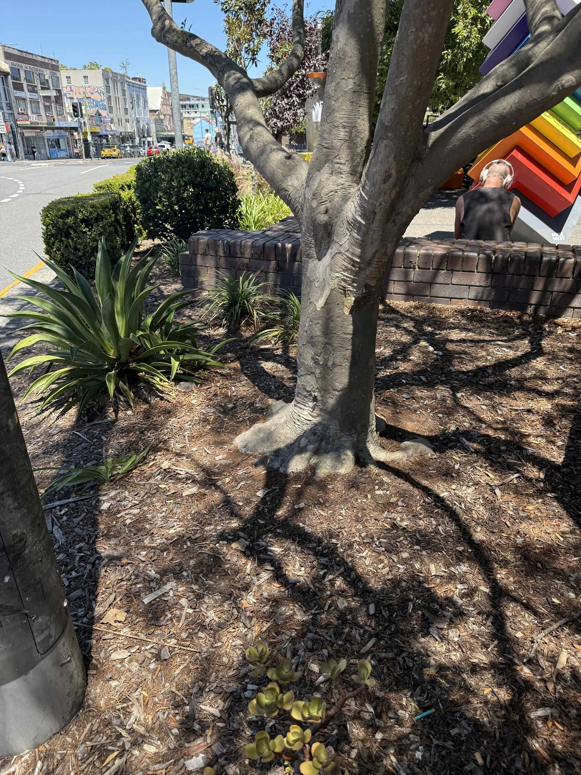  Garden beds are often neglected, accumulating litter and suffering in the intense heat reflected from hard surfaces. 