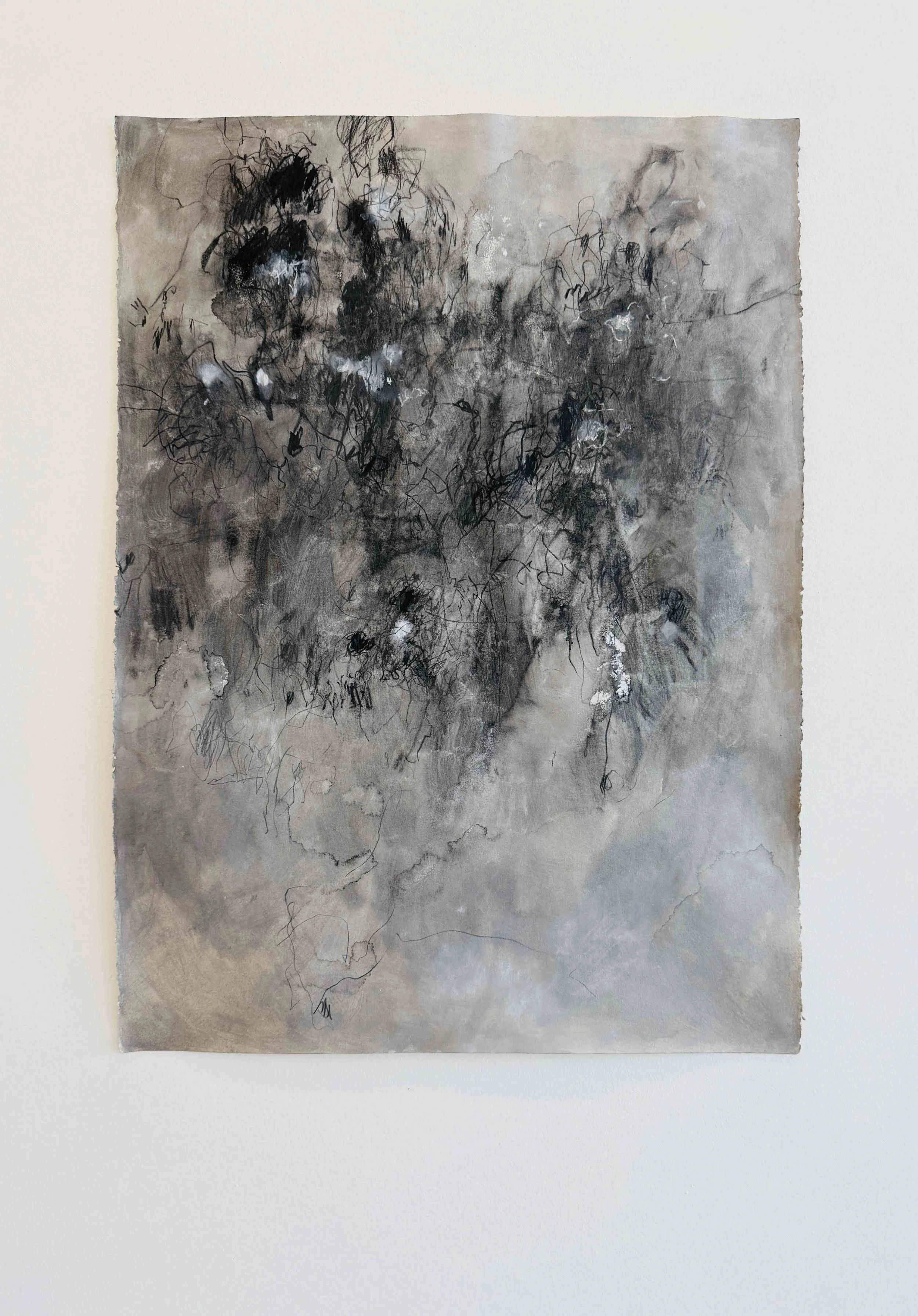 Maybe there in-between my pancreas and large intestine is the piddly brook of my soul, 2026