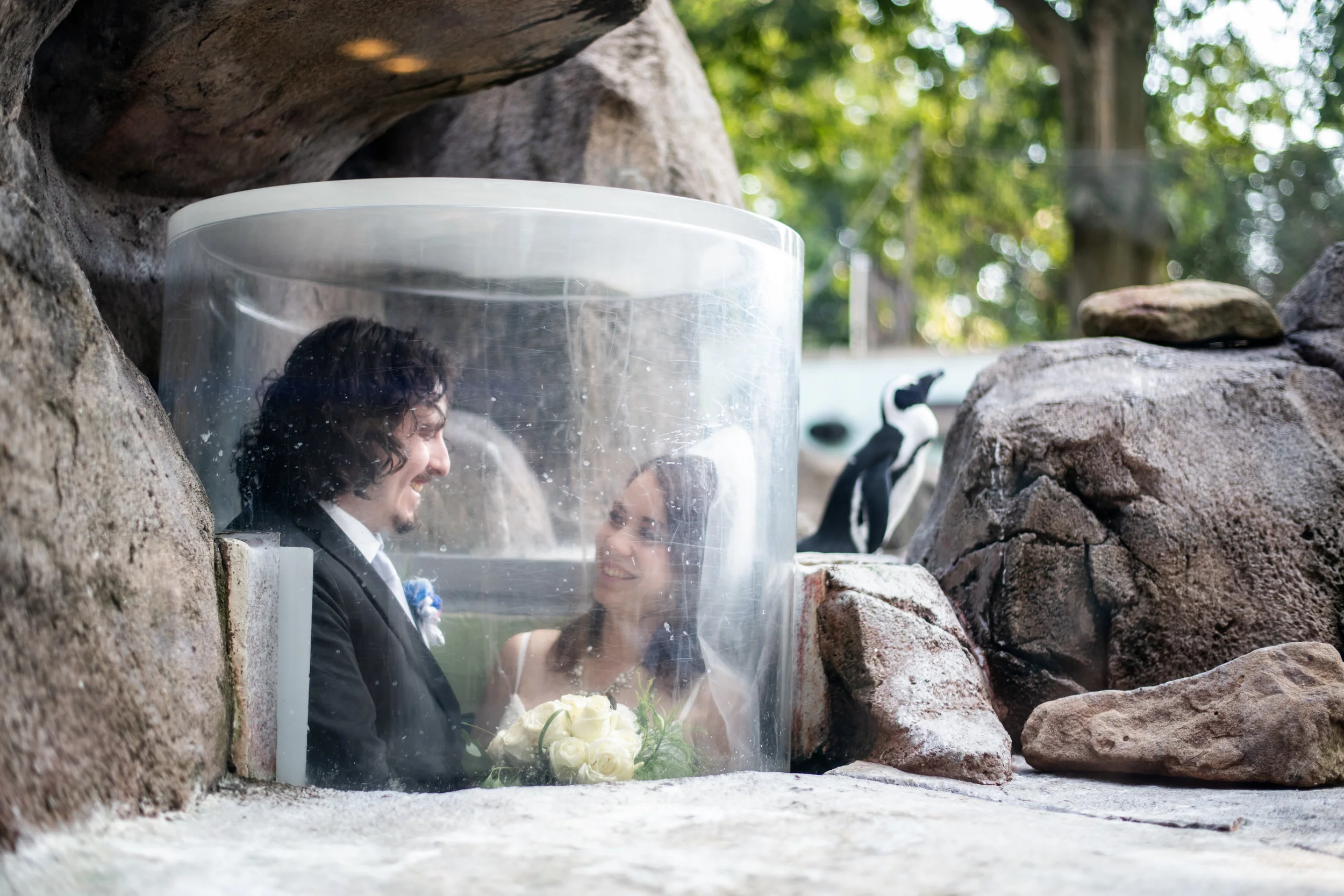 Destination Pittsburgh! Heinz Chapel and The National Aviary for Some Out of Town Lovebirds: Nicole &amp; Dan