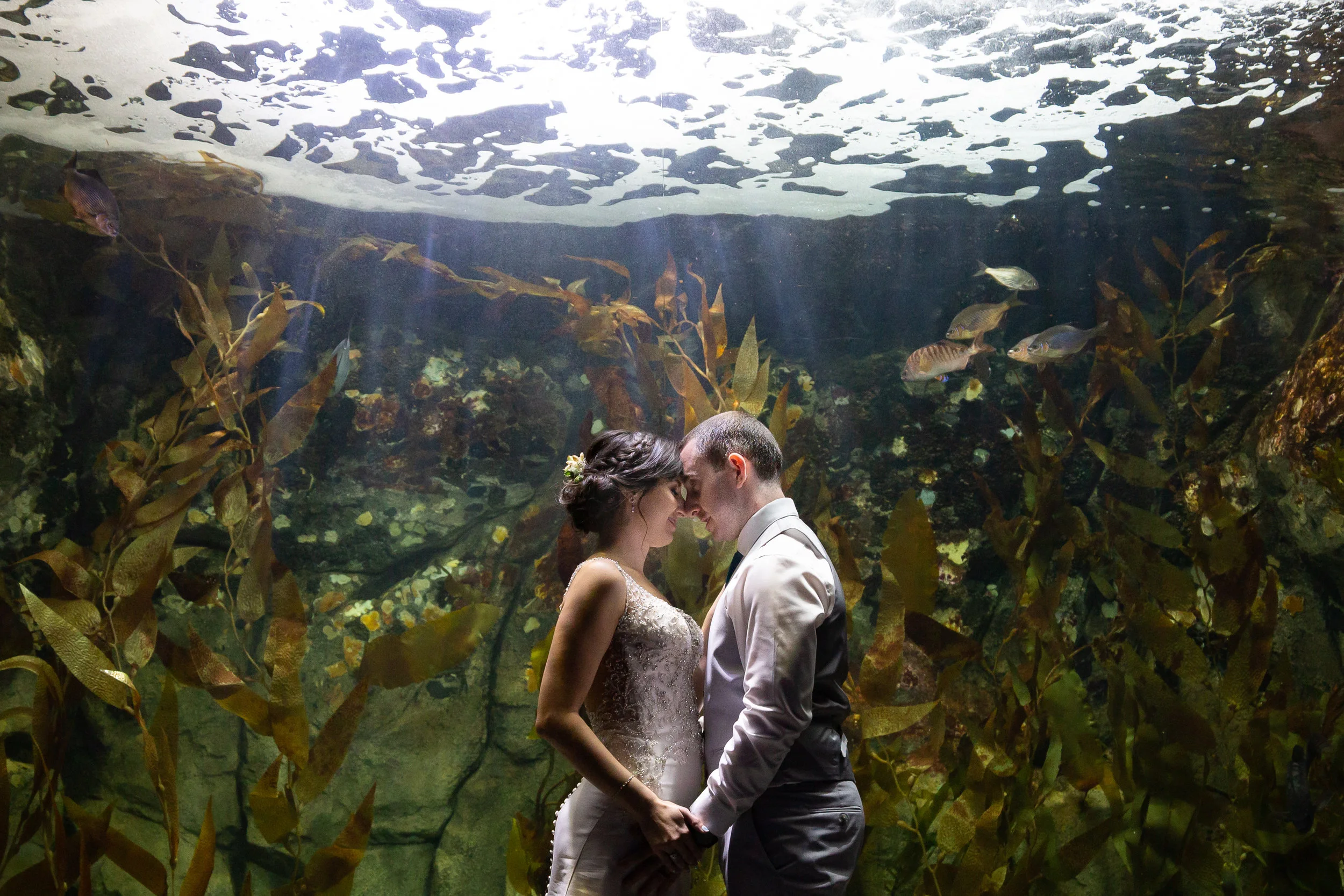 Two Love Birds Make it Official at the Pittsburgh Zoo and PPG Aquarium: Katie &amp; Ian