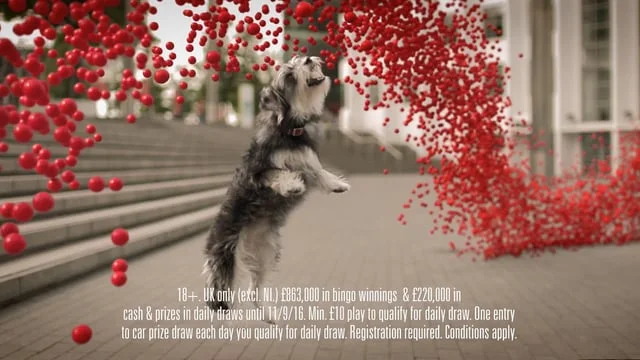 HN162016 HeartBingo HNW-HBNG004-020 050816  NO DOG (Converted)